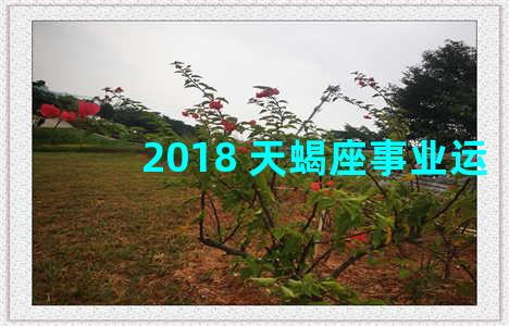 2018 天蝎座事业运